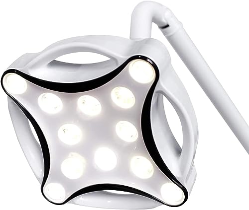 Shogoody 30W Lab Shadowless Mobile Floor Stand Lamp LED Cold Light White