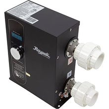 Raypak Digital Electric Spa Heater 5.5KW 240V 017121