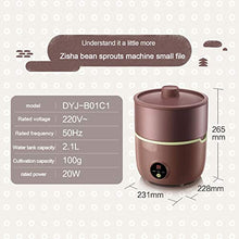 Bean Sprouts Machine, LED Display Time Control, 2 Layers Function Large Capacity Seed Grow Cereal Tool, Seed Sprouting Kit With Double Germination Tray