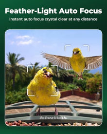 Solar Bird Feeder with Camera, 4K Auto Focus, Kiwibit Bird Feeder 2 Pro