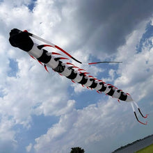 Yingfeida HFLY 59ft Large Inflatable Centipede Kite Black