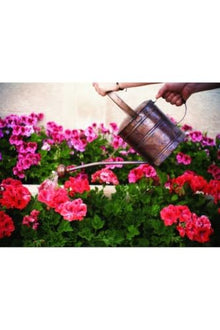 Handmade Copper Watering Can, Gardener Model, Oxide Copper Finish, 7.5 in Pot Height, 7.1 in Pot Diameter, Pure Copper, Refined Garden Tool