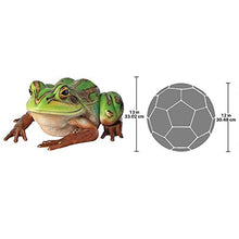 Design Toscano The Pine Barrens Giant Garden Tree Frog Statue