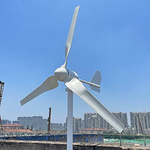 1000w Wind Power Turbine 12v 24v 48v Generator With Controller Free Energy For Homeuse High Efficiency (24V with Controller)