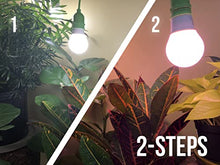Miracle LED Plant Life Cycle 2-Socket Synchronized Grow Light Kit with 2 Full Spectrum Absolute Daylight + Bulbs and 2 Red Spectrum Multi-Plant Bulbs with Sproutmatic Timer Controls (3 Pack)