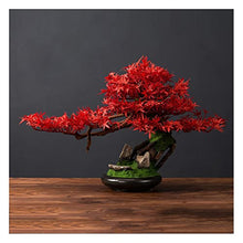 YXIANG56Q Fake Plants Articial Bonsain Tree Artificail Plants Potted Tree 25cm in Width Artificial House Plants Maple Tree Bonsai Fake Plant for Home Room Decor Bonsai Tree(B)