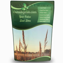 Outsidepride Perennial Andropogon Big Bluestem Grass Seed - 25 lbs. Warm Season, Drought Resistant, Native Prairie Grass Seed, Ideal for Erosion Control, Ornamental Landscaping & Wildlife Gardens