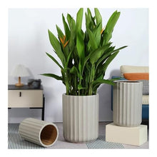 WOAITIANTIAN Flower Pots Outdoor Round with Streaks Plant Pot Rough Pottery Planter with Drainage Holes