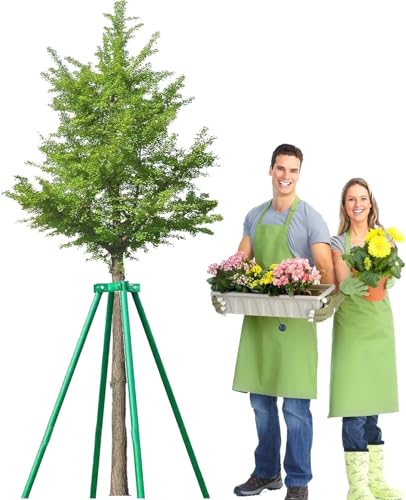 Heavy Duty Tree Growing Support Stake for Weeping Willow/Papaya/Peach/Lemon Tree, 3ft 4ft 5ft 6ft 7ft 8ft Stakes and Supports, Branch Stakeing(Green-Dia 10cm (3 8/9in),8ft)