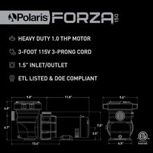 Polaris Forza 150 Above Ground Pool Pump