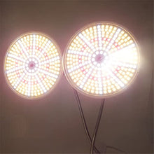 LED Grow Light Plant Bulb Vegetable Flower Cultivo Growing Greenhouse Hydro Sunlight Phyto Lamp Indoor Grow Box (Size : Single Head) (Dual Head)