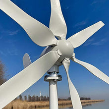 NINILADY 600w Wind Turbine Generator 12V 24V Free Alternative Energy Windmill Turbines with MPPT Controller 6 Blades (12V with MPPT Controller)