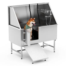 Wanttii Professional Stainless Steel Dog Bathing Station Silver
