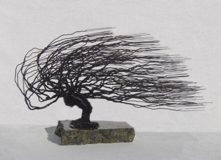 Bonsai Boy w054 Wire Bonsai Tree Sculpture - Windswept Style