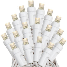 Novelty Lights 24-Pack 25 Feet 50 Light Warm White LED Christmas Lights White Wire, Connectable Mini String, Indoor/Outdoor, Commercial Grade, UL Listed