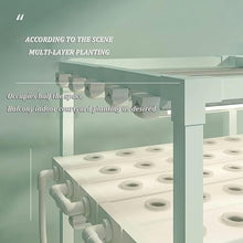 FLTRGO Hydroponic Growing Kits & Systems,hydroponics Growing Tower,hydroponics Indoor Garden,Indoor herb Garden,Garden Hydroponic Growing System,for Herbs, Fruits and Vegetables.