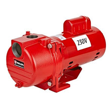 Red Lion RL-SPRK200-BR Sprinkler/Irrigation Pump, 230V, 76 GPM, 2 HP