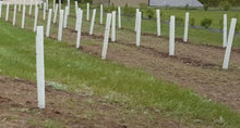 Non Typical Food Plots 60" Miracle Tree Tube (100)