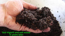 Soil Vigor Potassium Water Storing Polymer Crystal for Soil Aeration 45g