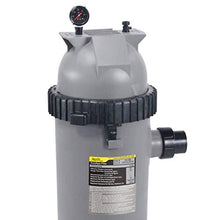 Jandy CS200 Cartridge Filter