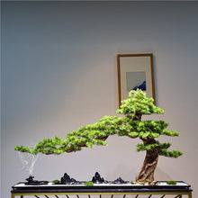 YXIANG56Q Fake Plants Artificial Greenery Bonsai Simulation Welcome Pine Home Hotel Micro Landscape Bonsai Tree