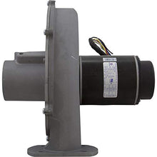 Pentair Blower Kit, MasterTemp 300, NAT.