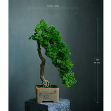 YXIANG56Q Fake Plants Grade Simulation Welcome to Tree Tree Bonsai Hotel Office Tea Several Live Hall Extreme Decoration Beautiful Items Bonsai Tree(E)
