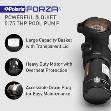 Polaris Prestige Above Ground Pool Filter System