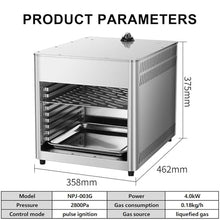 Professional 800℃ Constant Temperature Steak Oven Grill, Commercial Multi-Layer Steak Oven for Pizza, Salmon, Fruits and Vegetables(NPJ003G)