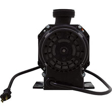 Pump, Bath, BWG Gemini Plus II VS, 1.5hp, 115v, 1-1/2", OEM