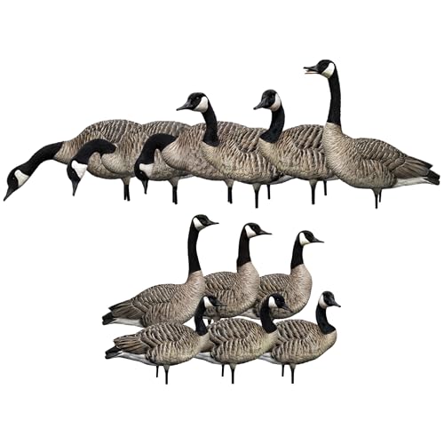 Avian-X AXP Honkers Full Body Canada Goose Decoys Fusion Pack Multicolor