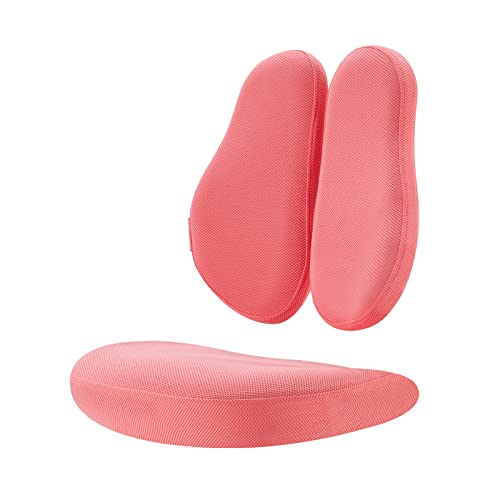 ECPro Adjustable Ergonomic Kids Study Chair with Washable Cover, Pink-Double Back
