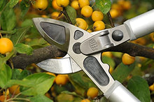 FELCO 231