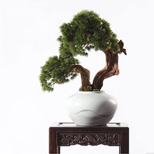 YXIANG56Q Fake Plants Artificial Bonsai Tree, Fake Plants in Ceramic Pot, Faux Potted Plant for Home Desktop Zen Garden Living Room Decor, Height 22.44 Inches Bonsai Tree