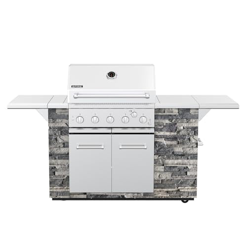 SPIRE 5 Burner Gas Grill Island Head, Stainless Steel 30" Built-In, Grey