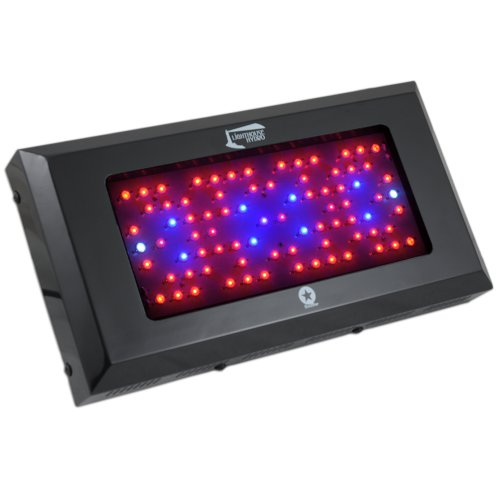 Lighthouse Hydro BlackStar Flowering LED Grow Light, 240-watt