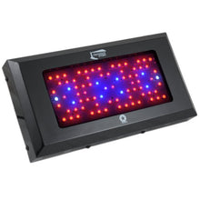 Lighthouse Hydro BlackStar Flowering LED Grow Light, 240-watt