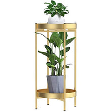 TBNLASS 2 Tier Metal Outdoor & Indoor Potted Flower Stand Display Shelf Home Garden