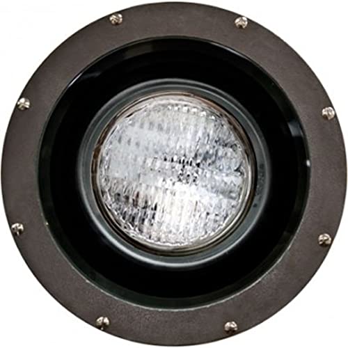 Dabmar Lighting FG4310 Fiberglass 70W Hps 120V Light Fixture, Bronze Finish