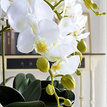 Artificial Flower in Pot Large Artificial Butterfly Orchid Bonsai Fake Flower and Vase Arrangement Silk Cloth Butterfly Orchid Bonsai Home Decoration Artificial Plant Flower Arrangement ( Color : Ligh