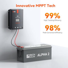 RICH SOLAR 800 Watt Premium Solar Kit Contains 4 High Efficiency 200W Monocrystalline Panels with 9 Busbars and 60A MPPT Controller