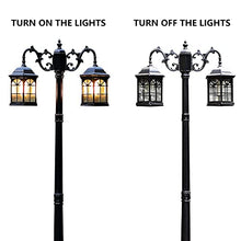 iumLeap 112Inch 2-Head Outdoor Lamp Post Light Apillar Post Light Garden Path Pillar Lamp Ip65 Waterproof Street Light Glass Lantern Courtyard Bollard Path Lamp Pathlighting (Black-112inch)