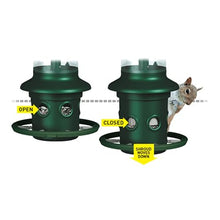 Brome,Squirrel Buster Plus 6"x6"x28" (w/Hanger) Wild Bird Feeder with Cardinal Ring and 6 Feeding Ports, 5.1lb Seed Capacity, 2 Pack