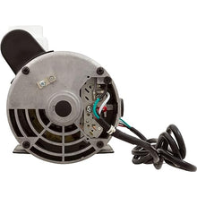 0800-390000 Gecko Alliance Pump, Maelstrom, 3.0hp, 230v, 2-Spd, 56fr, 2", OEM