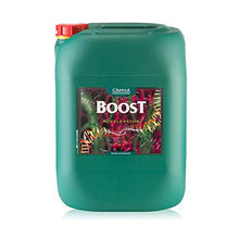 CANNA Boost, Cannazym, Rhizotonic Hydroponic Nutrient Bundle 20 Liter