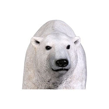 Design Toscano Polar Bear on the Prowl Outdoor Garden Animal Statue, 76 Inch, Resin, Full Color Finish