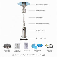 Stainless Steel Propane Patio Heater, 13000W Mushroom Heater