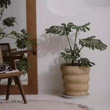 Flowerpot Clay Simple Pine Large Planter Living Room Indoor Floor Style Planting Tree Pot Garden Pots (Large)