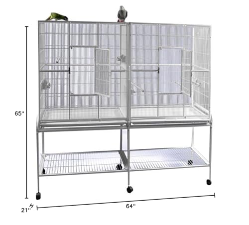 A&E Cage Co. 6421 White Double Flight Cage with Divider, Large/64 inchx 21 inch