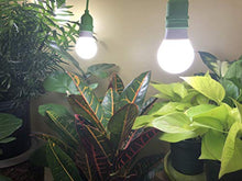 Miracle LED Almost Free Energy Greenhouse in a Box Grow Light Kit for Indoor Plants - Includes 150W Replacement Full Spectrum Bulbs & 4-Socket Corded Grow Light Fixture (7-Pack - 7 Strings, 28 Bulbs)